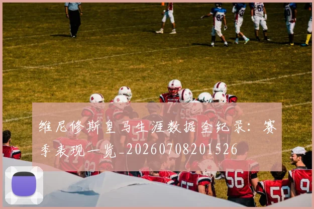 维尼修斯皇马生涯数据全纪录：赛季表现一览_20260708201526
