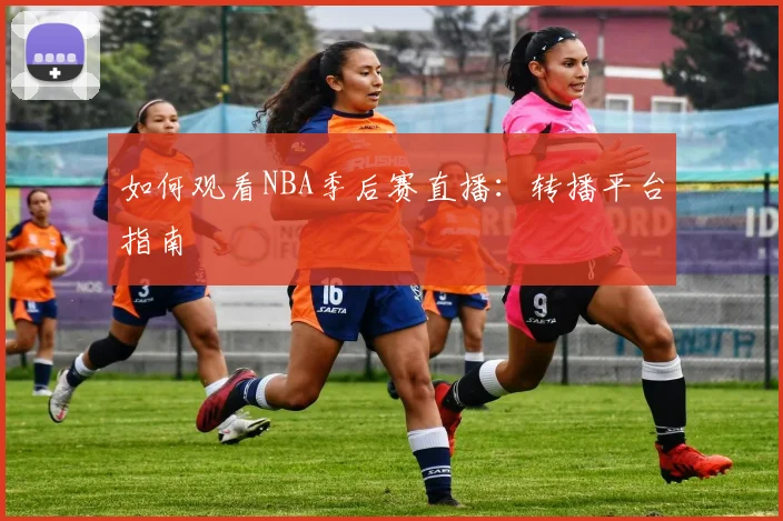 如何观看NBA季后赛直播：转播平台指南